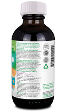 Load image into Gallery viewer, ORGANIKA Kids Elderberry Cough Relief Syrup (Elderberry With Honey - 100 ml)
